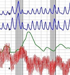 Baltimore best polygraph